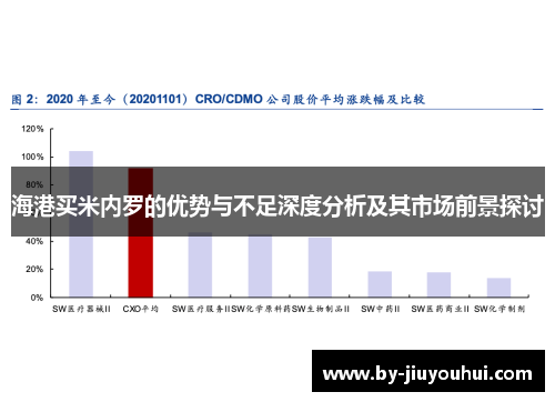海港买米内罗的优势与不足深度分析及其市场前景探讨