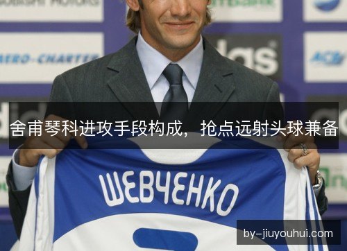 舍甫琴科进攻手段构成,抢点远射头球兼备 舍甫琴科进攻手段构成,抢点远射头球兼备